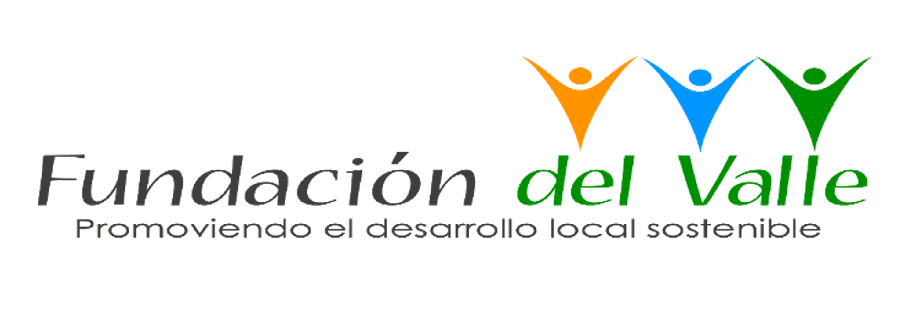 Logo Fundacion del valle